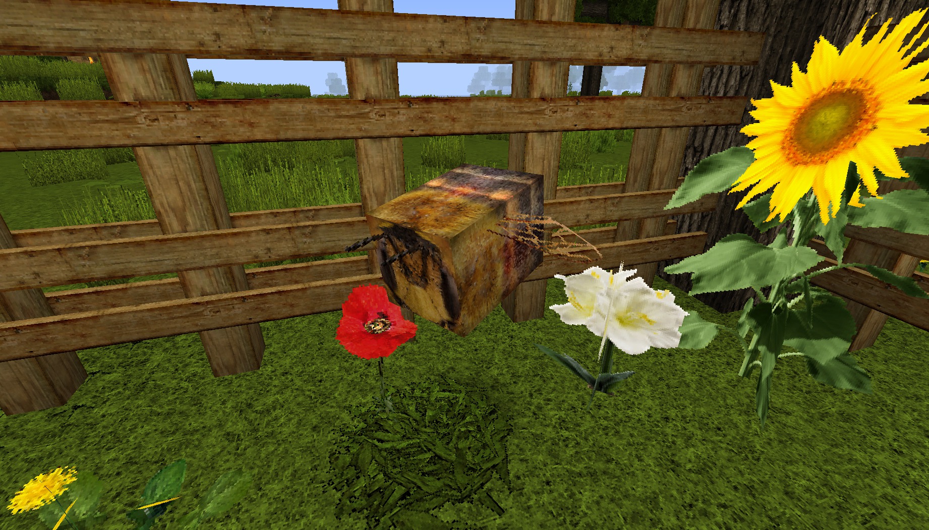 LB Photo Realism TP (3)