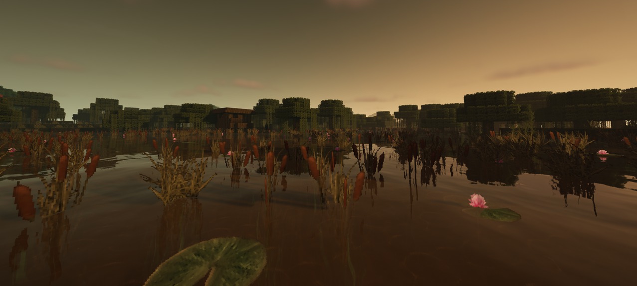 Misas Realistic TP (2)