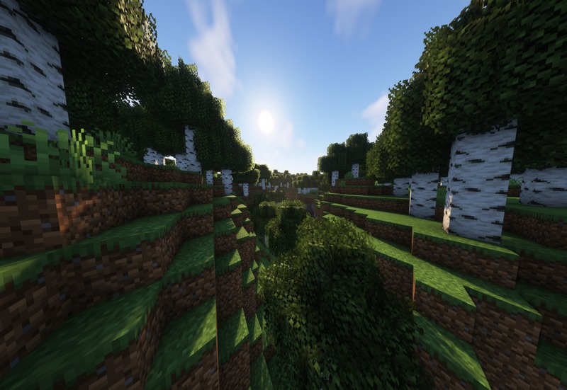 Motschen's Better Leaves (1)