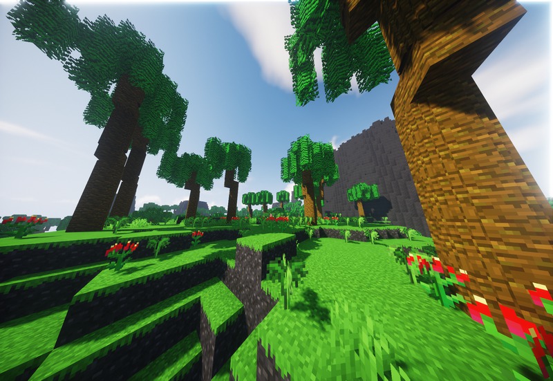 Motschen's Better Leaves (11)