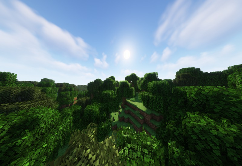 Motschen's Better Leaves (9)