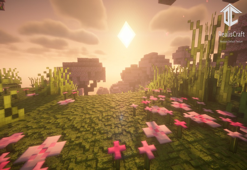 RealisCraft JE (3)