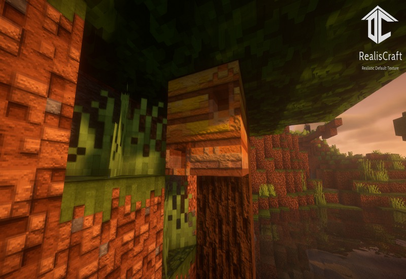 RealisCraft JE (4)