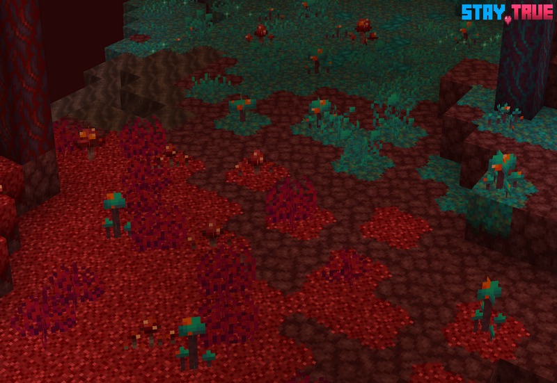 Stay True Texture Pack (3)