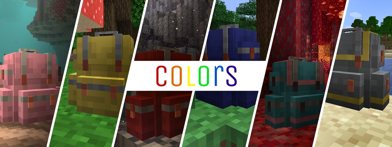 Sophisticated Backpacks (1)